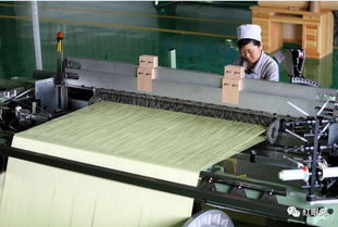 碳纖維布 預(yù)浸料 芳綸纖維編織布 熱塑纖維編織布等產(chǎn)品特點